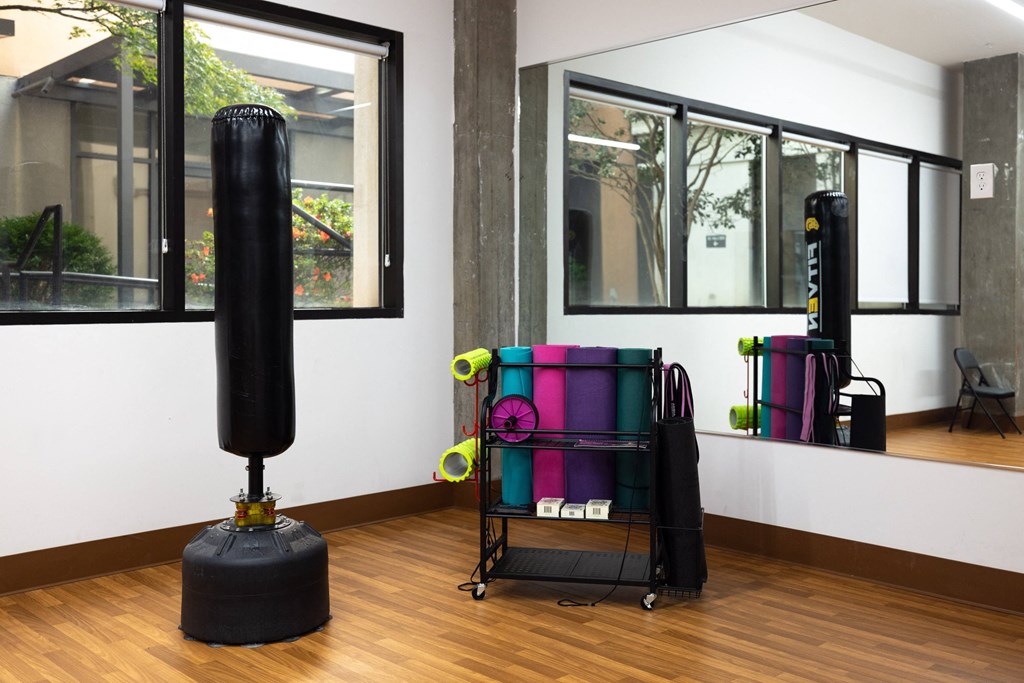 a punching bag and other equipment in a room with windows  at The Lady, Columbia, SC