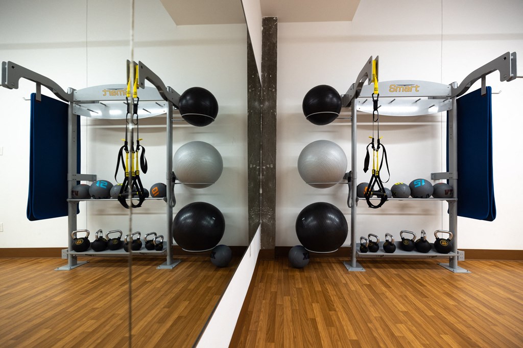 a gym with exercise equipment and balls on the wall  at The Lady, South Carolina, 29201