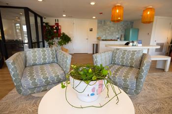 a living room with two chairs and a table with a potted plant at The Teale, Kissimmee, FL, 34746
