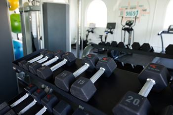 a row of dumbbells in a gym at The Teale, Kissimmee, FL, 34746