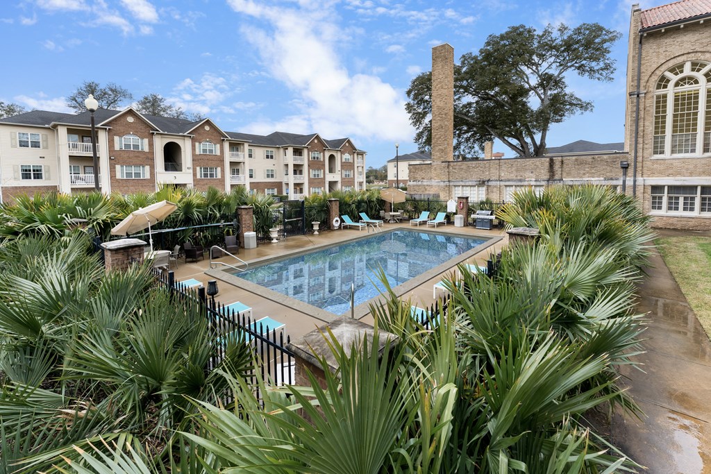 a swimming pool with palm trees and buildings in the background