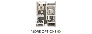 A diagram of a small apartment with the words "MORE OPTIONS" displayed.