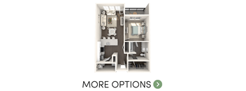 1 bedroom 1 bathroom apartment in Haslett MI | Newton Place Apartments in Haslett