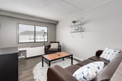 A living room with a brown couch and a black cabinet.