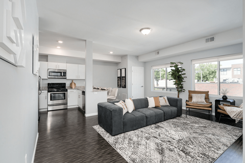 A modern living room with a grey sofa and a black and white rug.