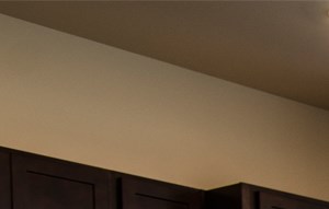 dtn east lansing apartments for rent grand rapids holt dewitt