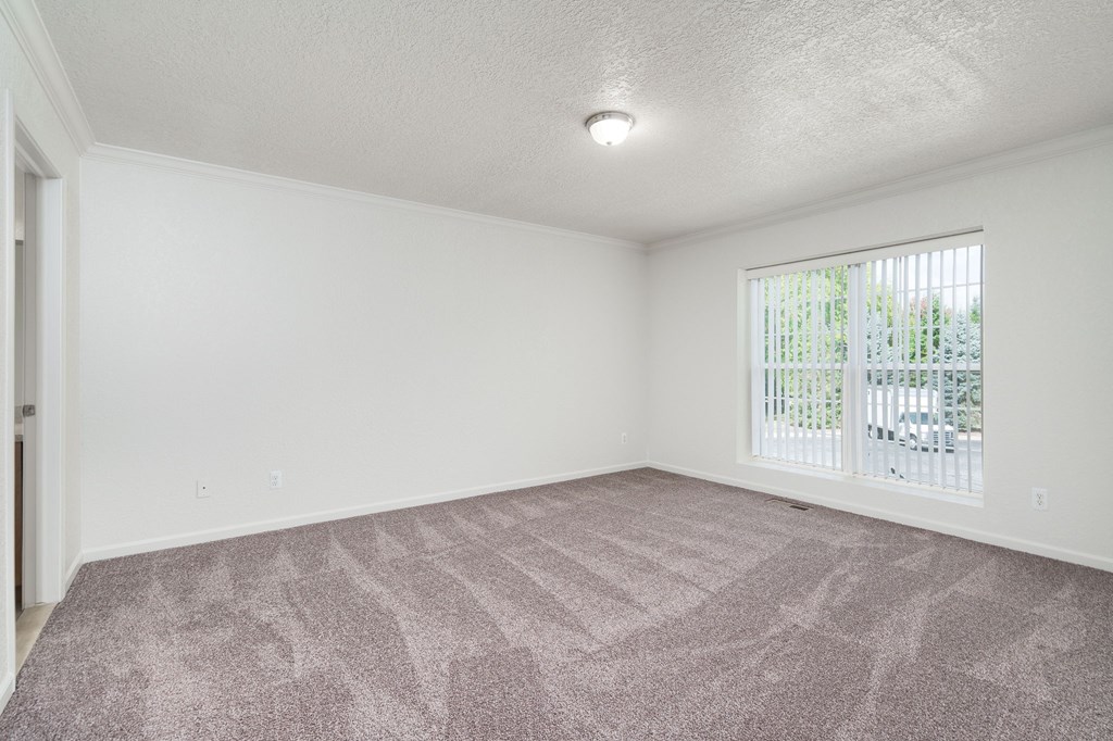 A room with a carpeted floor and a window with blinds.