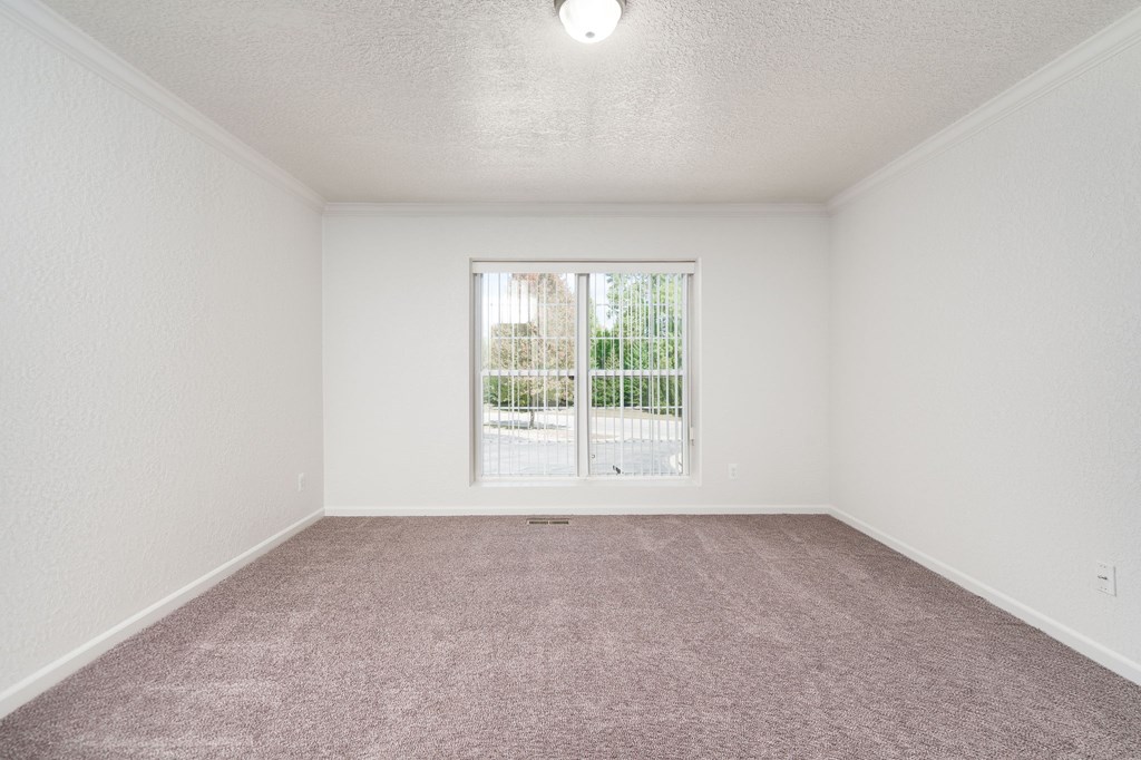 A room with a carpeted floor and a sliding glass door leading outside.