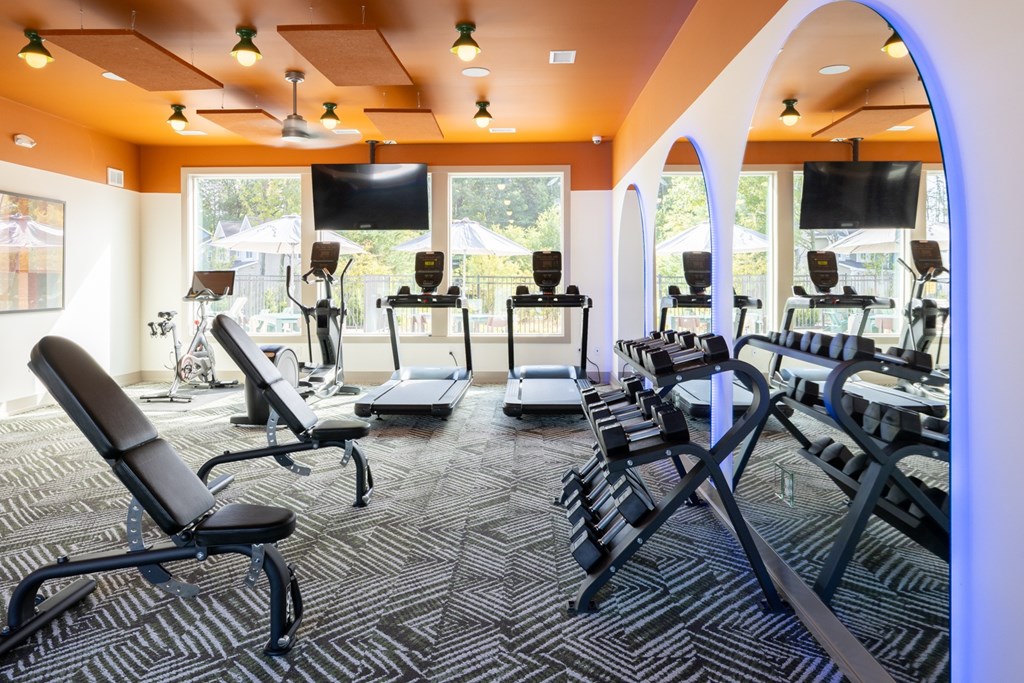 A gym with a variety of equipment including treadmills, stationary bikes, and weight machines.