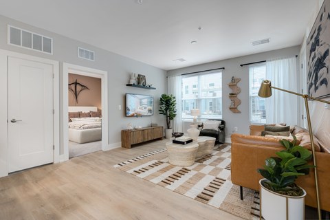 A living room with a brown sofa and a rug.