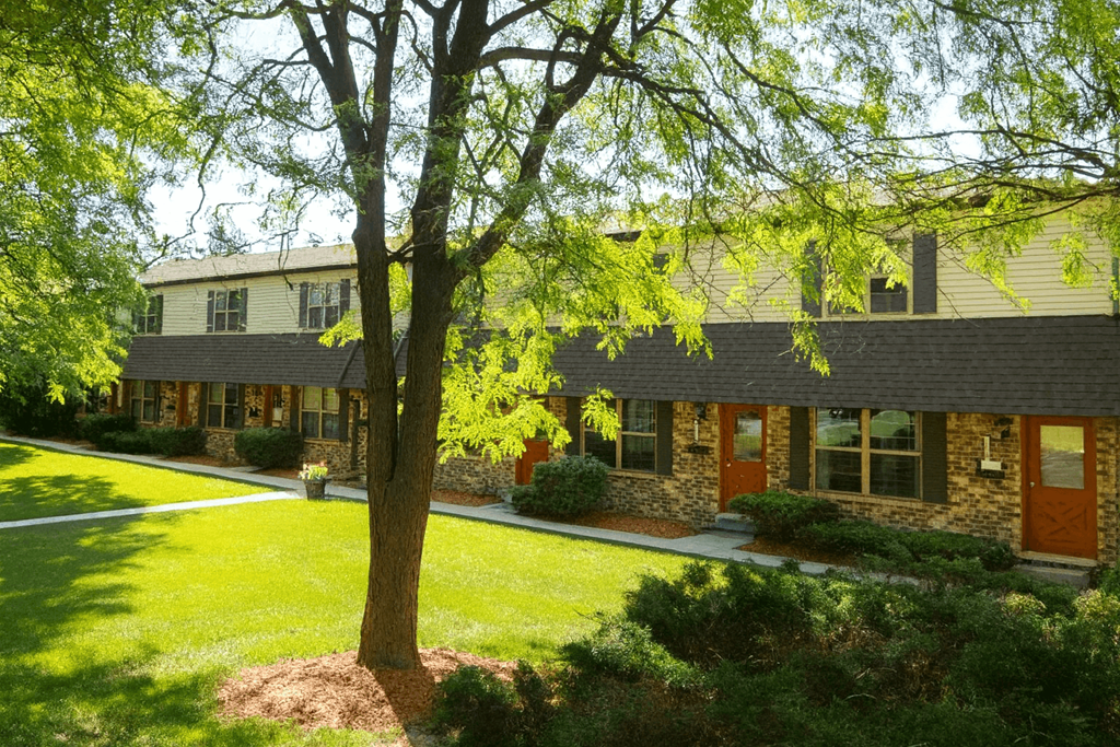 A tree stands in front of a house with a well-kept lawn.