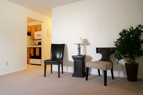 A black chair sits in a room with a potted plant and a lamp.