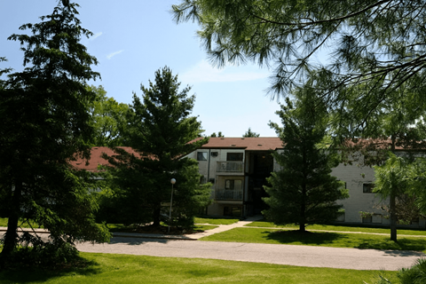 A tree in a grassy area in front of a building.