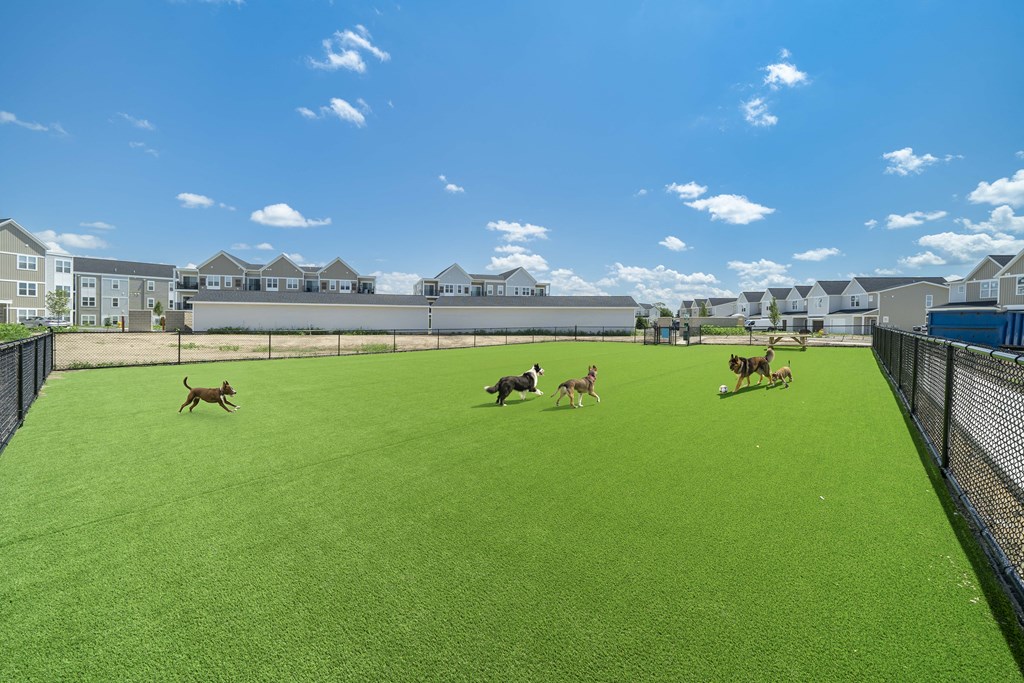 Dog park at Hudsonville, MI Apartments and Townehomes | Elmwood Lake Apartments in Hudsonville MI