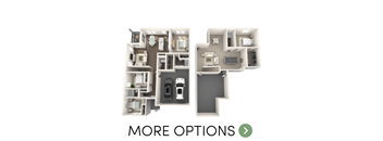 A diagram of a house with two different layouts and the words "MORE OPTIONS" below it.