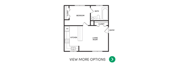 1 bedroom apartment floor plans in East Lansing, MI near Michigan State University | Oakridge