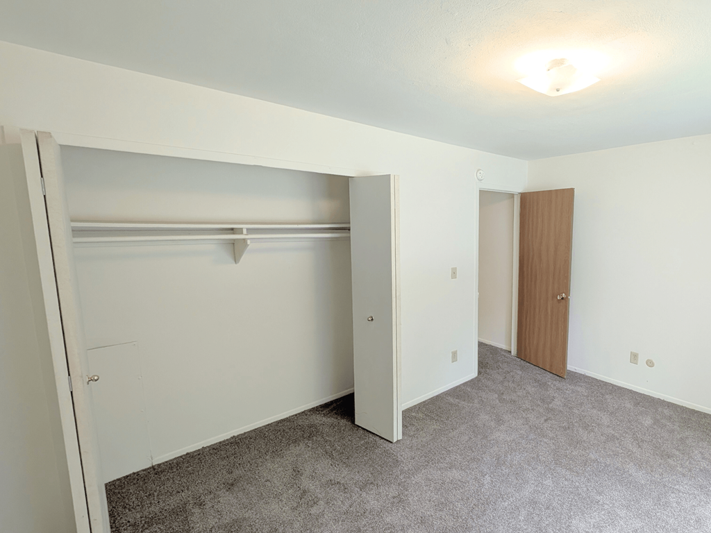 A white closet with a white door and a brown door.