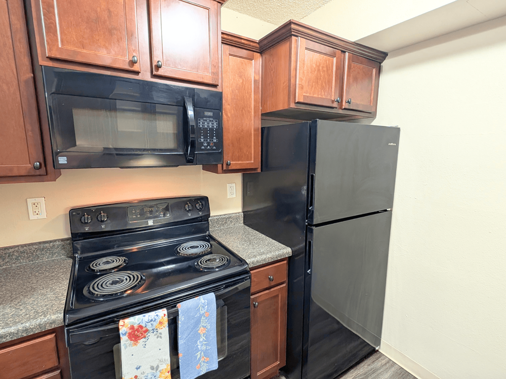 A kitchen with a black stove and black refrigerator.