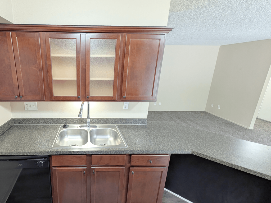 A kitchen with a sink and cabinets.