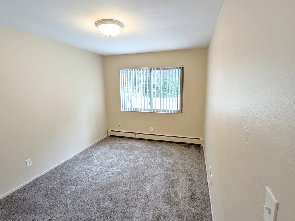 A room with a window and a carpeted floor.