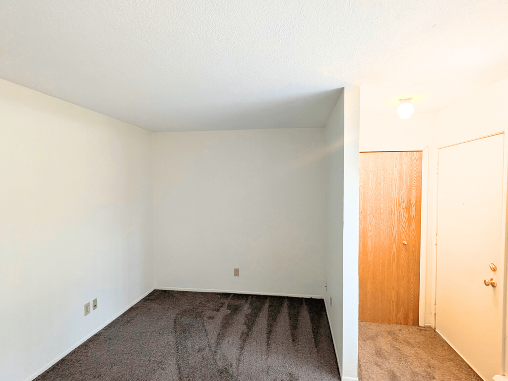 A room with a carpeted floor and a wooden door.