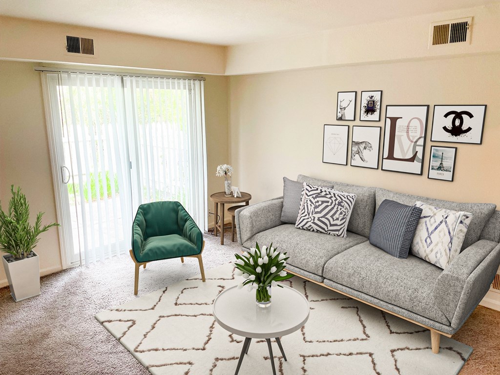 a living room with a couch and a chair and a rug