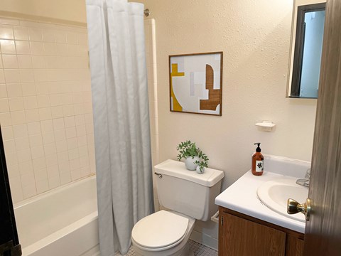 a bathroom with a toilet and a sink and a shower