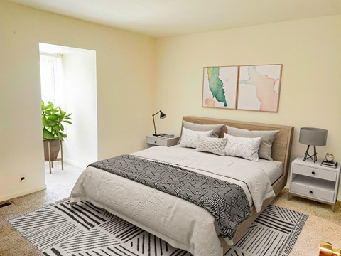 a bedroom with a bed and a rug