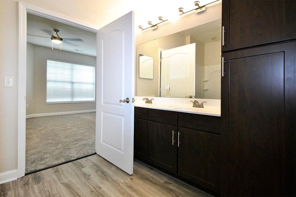 a bathroom with a sink and a mirror
