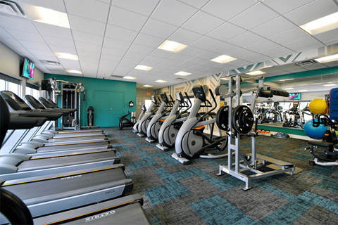 A gym with treadmills and weights.