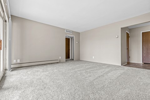a bedroom with gray walls and a carpeted floor