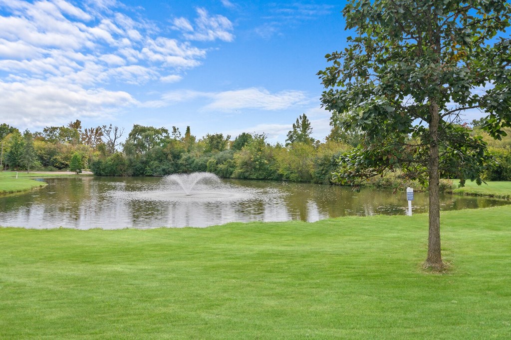 a pond with a fountain in it near a tree
