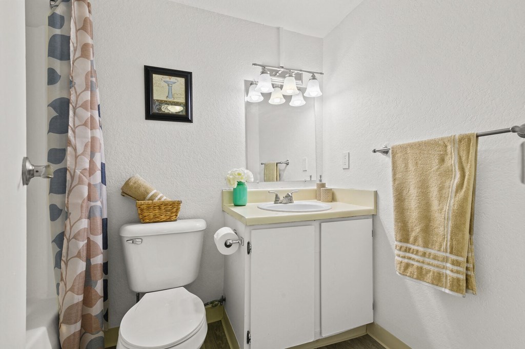 a bathroom with a toilet and a sink and a shower curtain