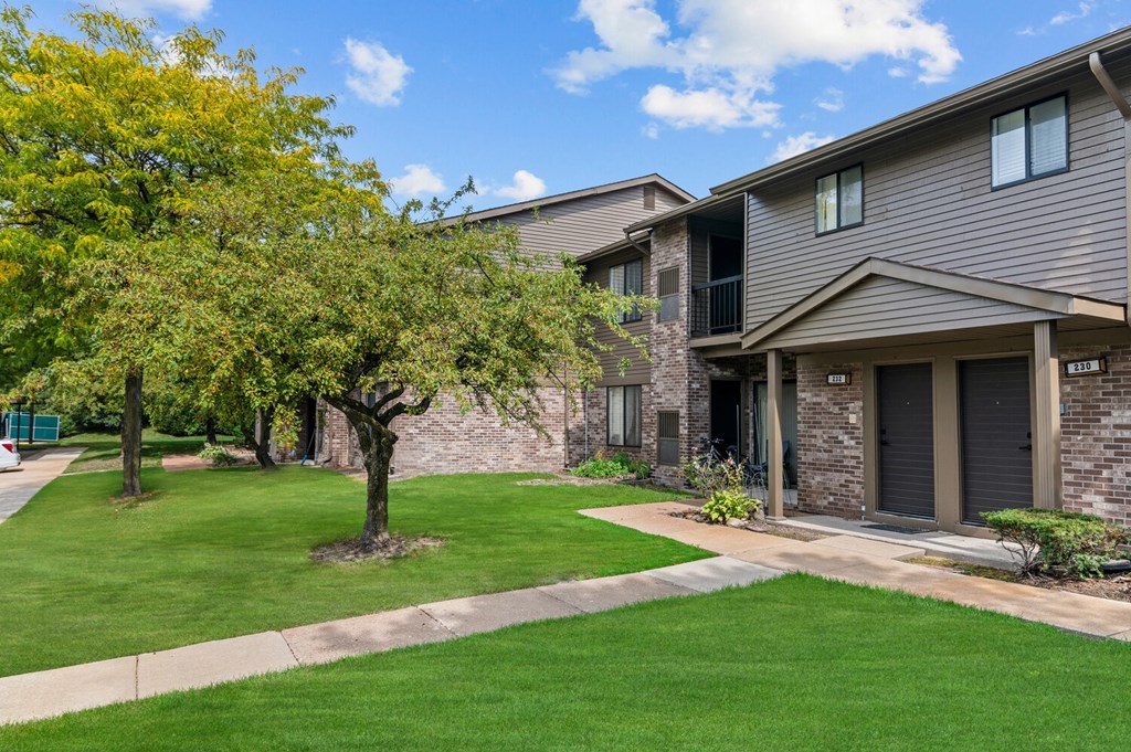 our apartments have a spacious yard with green grass and trees