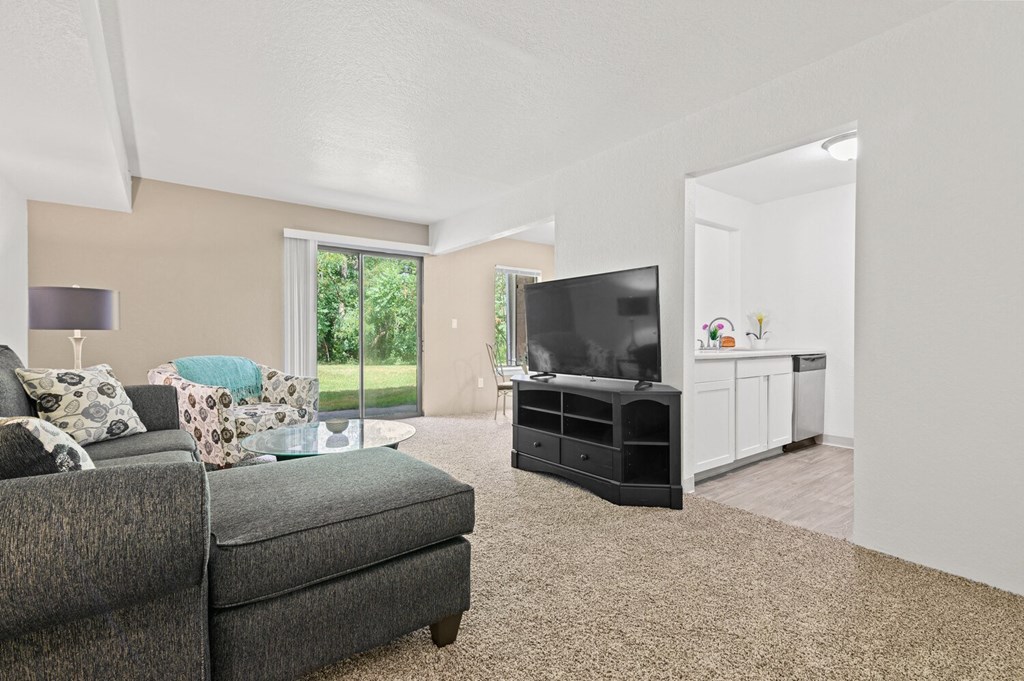 the living room of our apartments with a couch and a tv