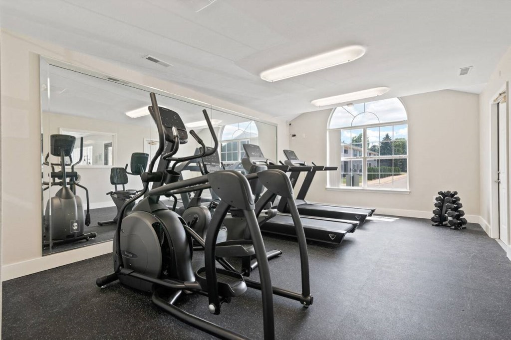 the gym at the preserve at great pond apartments in windsor