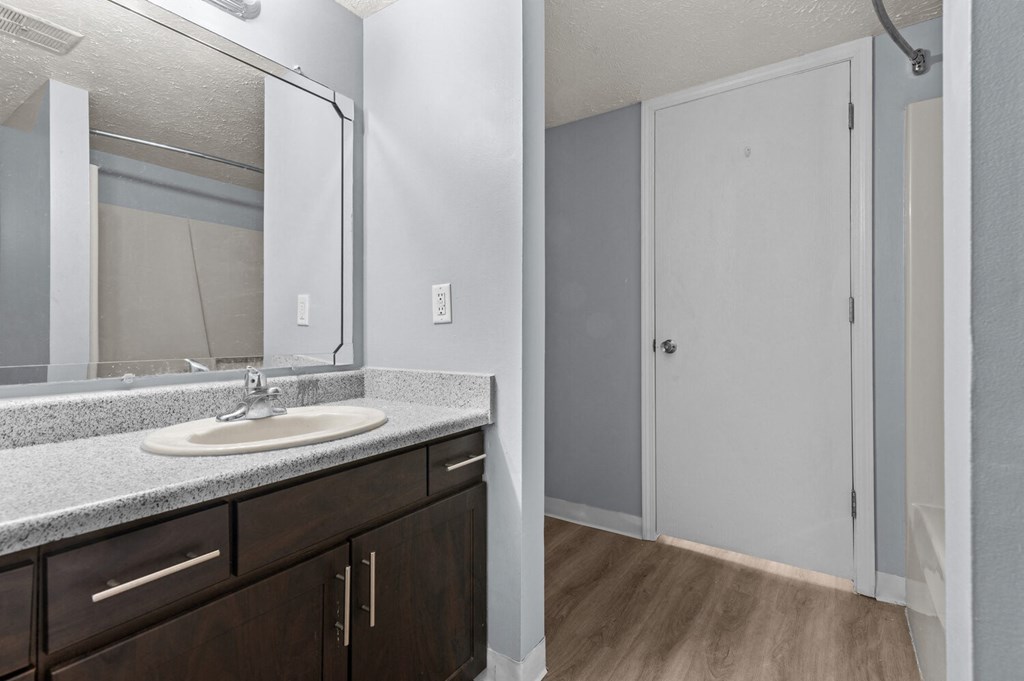 a bathroom with a sink and a mirror and a shower