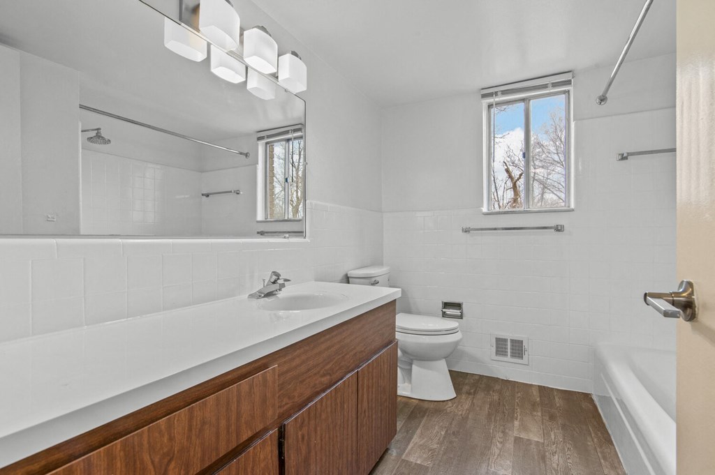 a bathroom with a sink and a toilet and a mirror