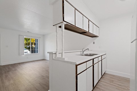an empty kitchen with a sink and a window