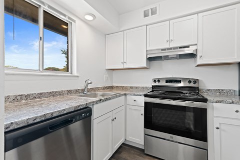 Renovated Kitchen