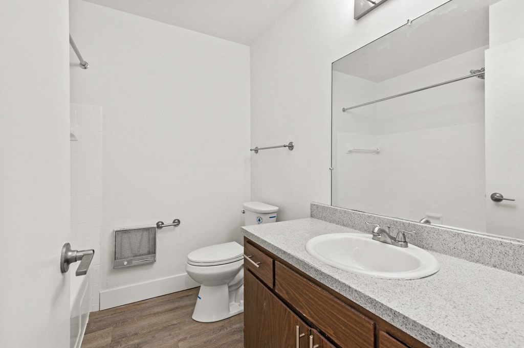 a bathroom with a sink and a toilet and a mirror