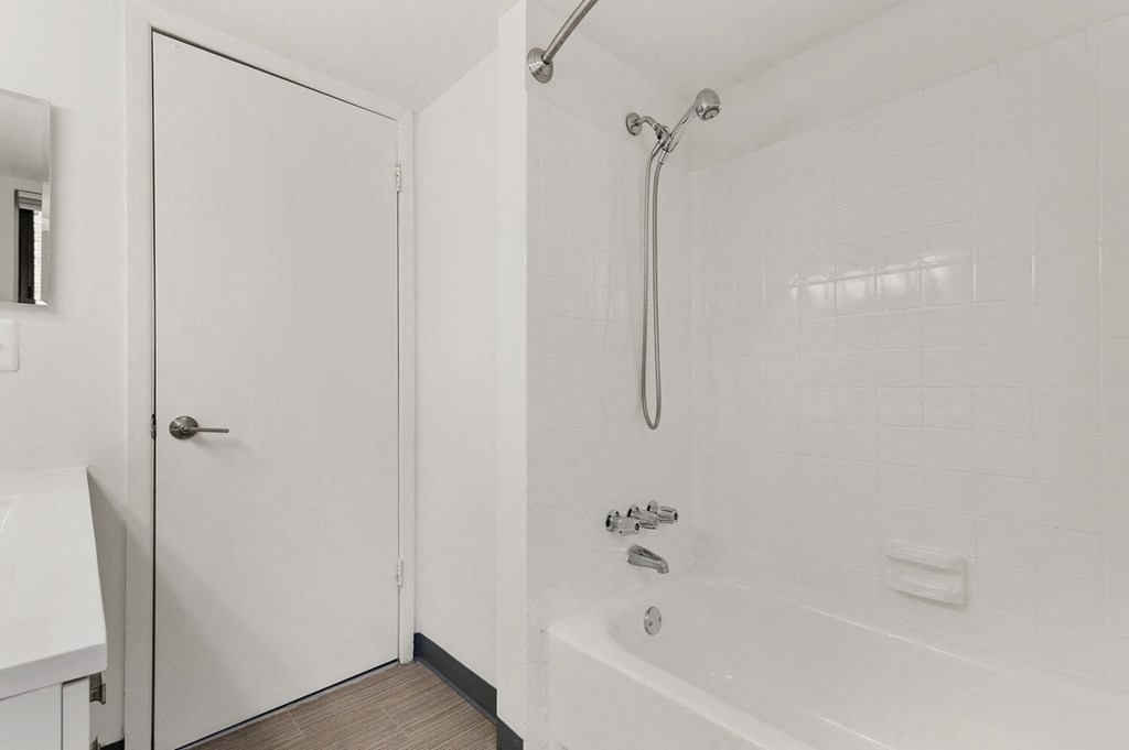 Luxuriant Bathroom at Lafayette Park Place, Detroit, MI, Detroit, Michigan