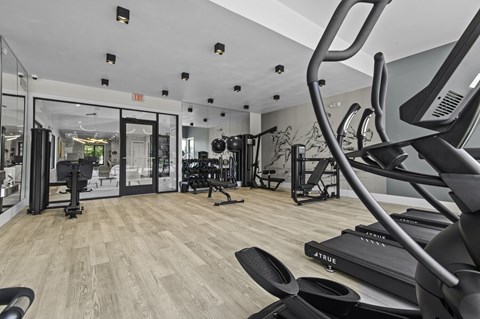 A gym with a variety of equipment including treadmills and weights at Park On Canal Apartments - Clinton Twp, MI Apartments, Clinton Twp, Michigan