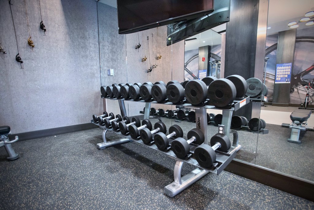 a rack of weights in a gym with a tv