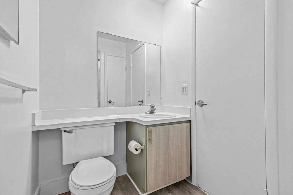 a bathroom with a sink and a toilet and a mirror