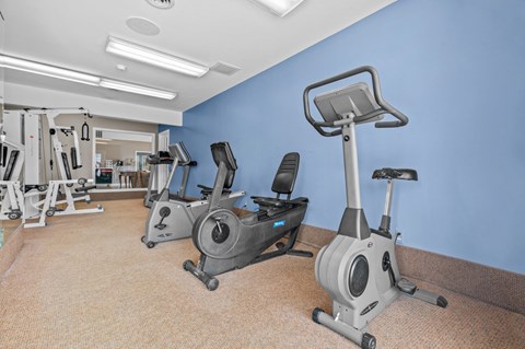 a room filled with lots of exercise equipment