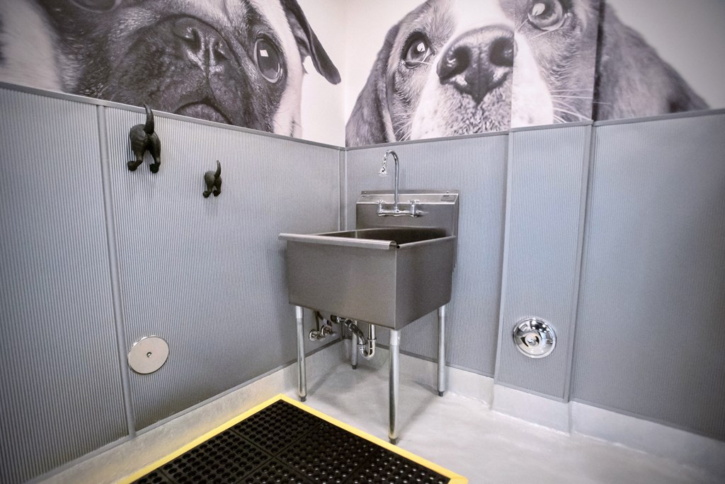 a bathroom with a sink and a picture of a dog on the wall
