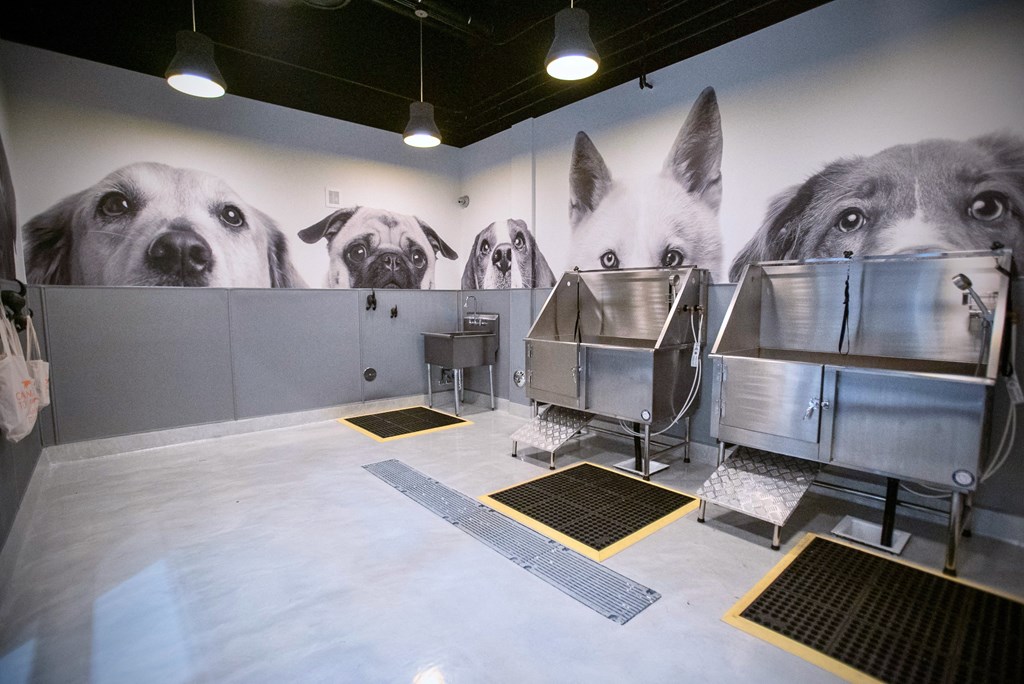 a mural of dogs on the wall of a vet room