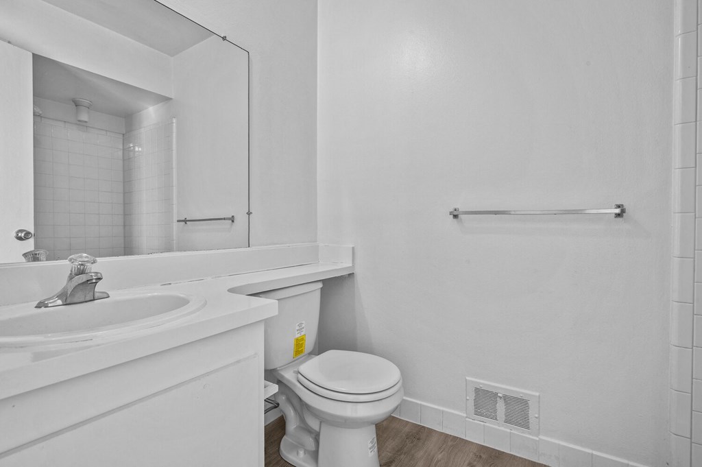 a bathroom with a sink and a toilet and a mirror