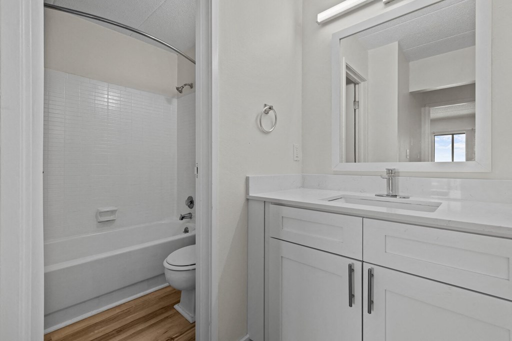 a bathroom with a sink and a toilet and a mirror